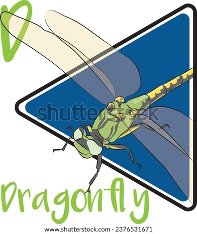 A dragonfly is a flying insect that is found on every continent with the exception of Antarctica. Young dragonflies, called larvae or sometimes nymphs or naiads, are aquatic. Dragonflies are predator