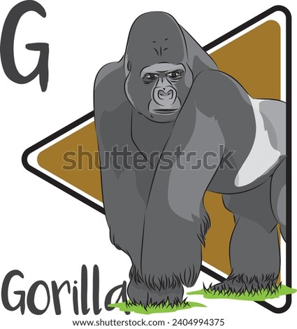 Gorillas are the largest living primates. The DNA of gorillas is highly similar to that of humans. Gorillas are classified as Critically Endangered.