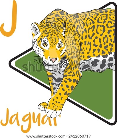 Jaguar is a large cat species and the only living member of the genus Panthera native to the Americas. Jaguars are classified as near-threatened by the IUCN