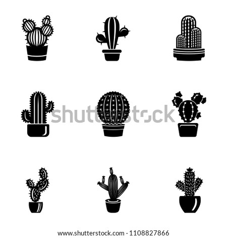 shutterstock puzzlepix shutterstock puzzlepix