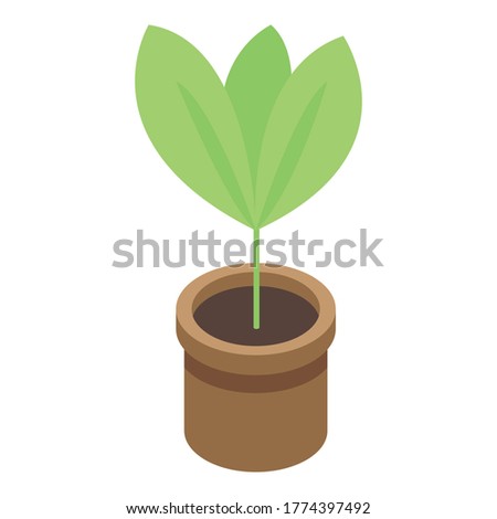 Similar – Image, Stock Photo Boy planting cactus seedling in garden