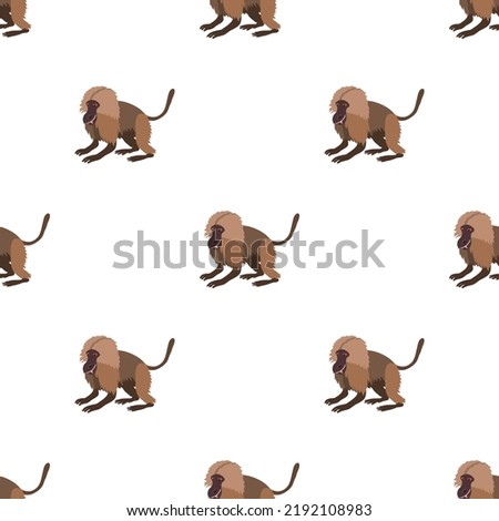 Muzzles of wild gelada monkeys