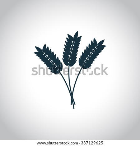 Wheat ears. Flat icon isolated on a white