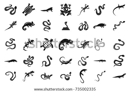 Reptile Scales Vector Art, Icons, and Graphics for Free Download