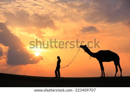 Silhouetted person with a camel at sunset, Thar desert near Jaisalmer, Rajasthan, India