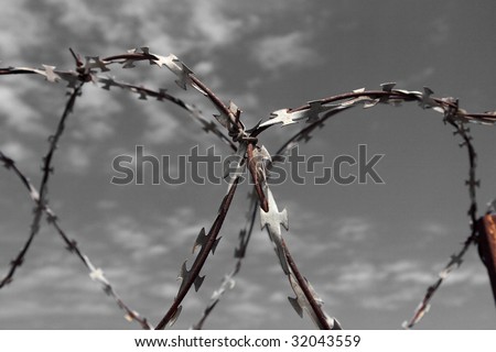 Similar – Tense barbed wire metal