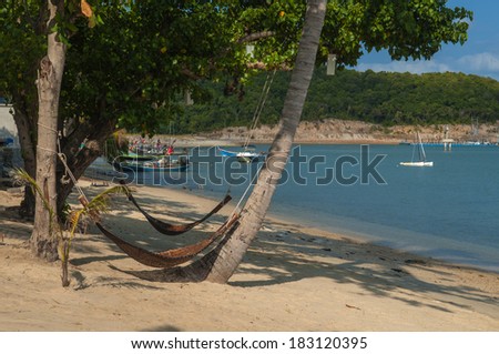 Hammock tied to coconut trees Beach sand