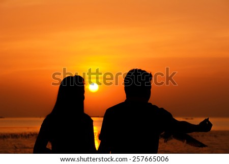 Silhouette of male & female (couple) feeding birds at seacoast with twilight sunset background