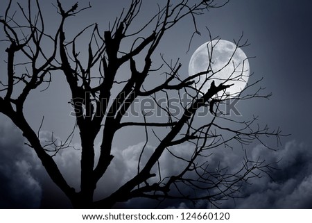 full moon and died tree