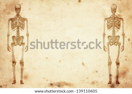 cursory drawing human skeleton on old paper background