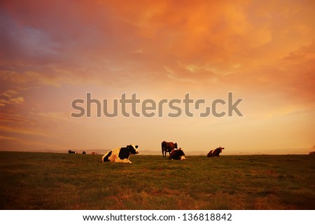 Similar – Foto Bild Ruhiger Tag an dänischem Nordseestrand