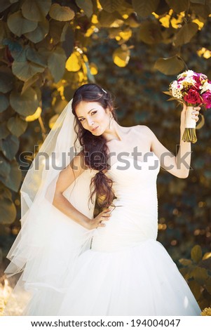 Wedding picture of beautiful bride.