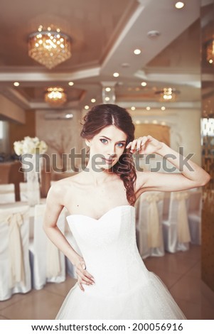Charming young caucasian bride, wedding picture.