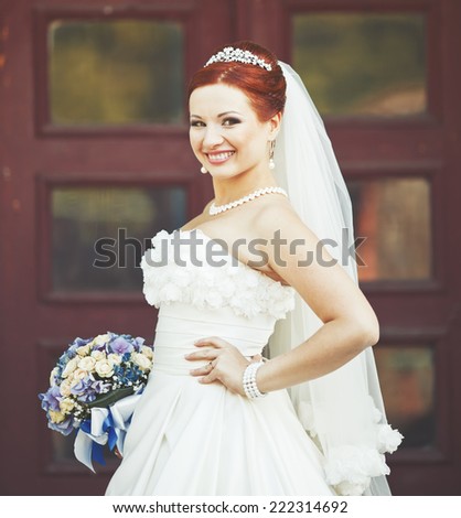 Beautiful  bride in white dress. Long veil.