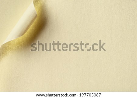 Empty light writing paper background