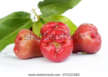 rose apple on white background, Isolate rose apple, Thai favorite fruit, Food foe healthy.