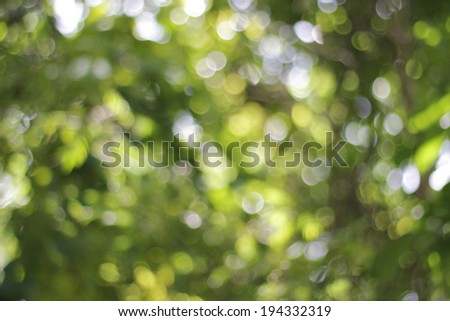 Green blur background Images - Search Images on Everypixel