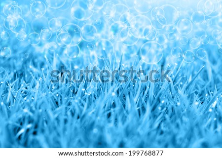 Natural grass blue filtered bokeh blurred background.