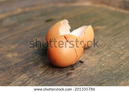 Eggs shells