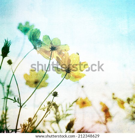 Grunge image of flower with filtered image. Vintage background.