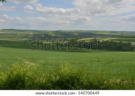 The South Downs at Bury Hill, West Sussex.