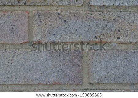 A brick wall on the side of a British house in Surrey.
