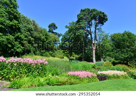 An English country garden in July two thousand and fifteen