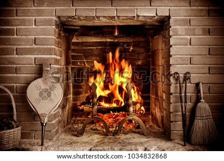 Similar – Image, Stock Photo burned firewood in fireplace and fire close up