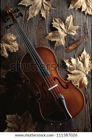 violin on aged wood table with autumn leaves