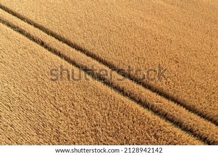 Similar – Image, Stock Photo Aerial view of lined, round bales of straw on the agricultural field