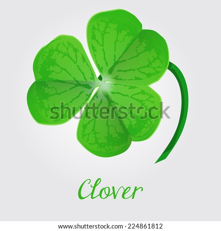 clover, St. Patrick's day symbol, vector illusration