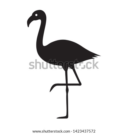Flamingo bird flat vector icon for wildlife apps and websites