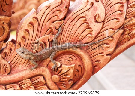 Thai Chameleon - Body Focus