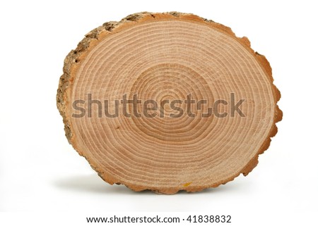 Similar – Image, Stock Photo Old segments Wood Pattern