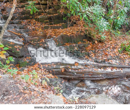 Whitewater stream, autumn, Western North Carolina Mountains.