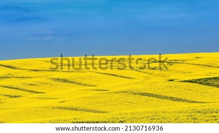 Similar – Foto Bild Peacesymbol auf ukrainischer Flagge