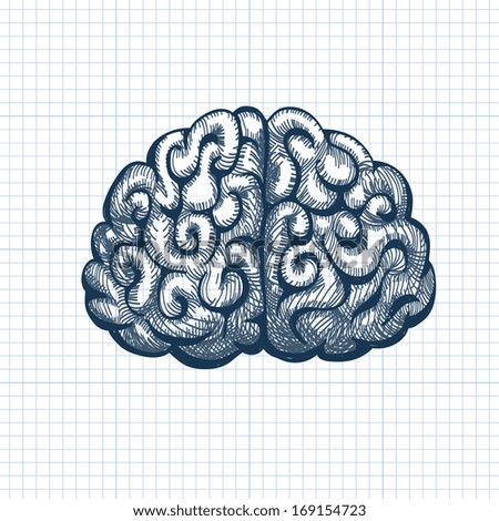 Brain Stock Vector 169154723 : Shutterstock