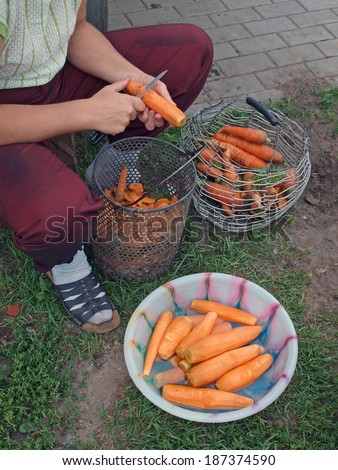 Peeling carrots outdoor in country yard close up