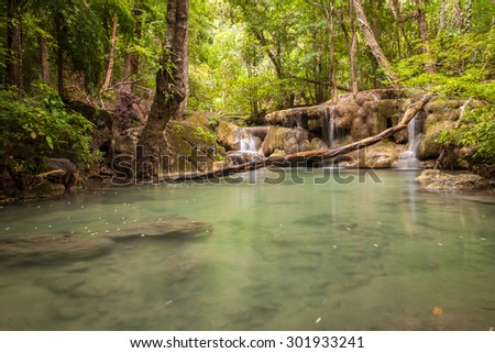 The fifth level of Erawan waterfall in Thailand, old branch of tree falling in front of the waterfall