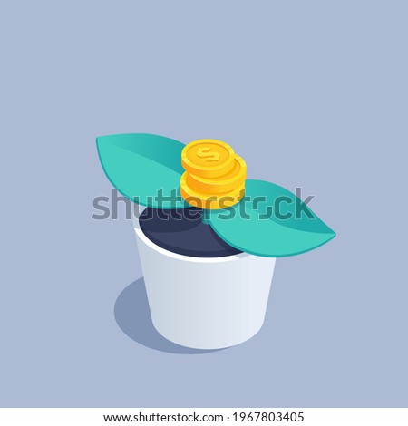 isometric vector illustration on gray background, money sprout, flowerpot with green leaves and gold coins with dollar icon, financial growth and prosperity