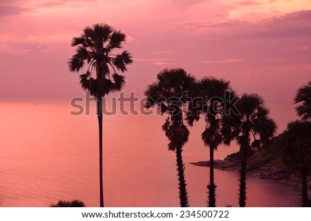 beautiful purple sunset with palm trees silhouette