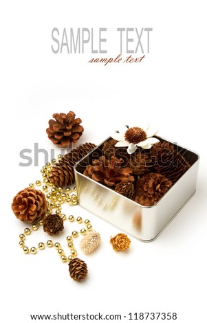 Pine corn decorations in metal box on white background