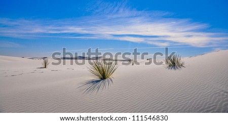White sands national monument a beautiful park. White  untouched sand dunes grow green plants that surprise you since there is no watter around The blue sky around it makes it additionally dramatic