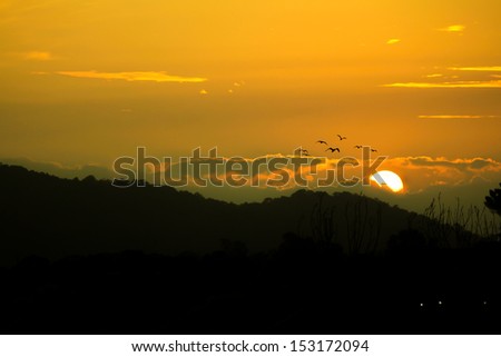 Sun goes down with flying bird in low light