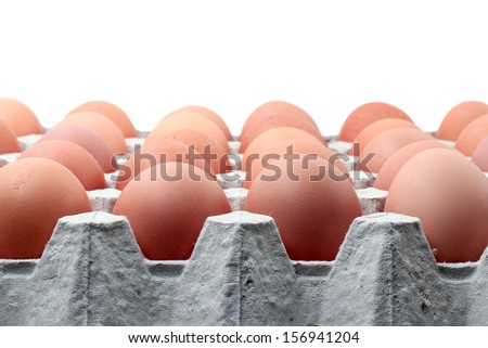 Eggs in paper tray