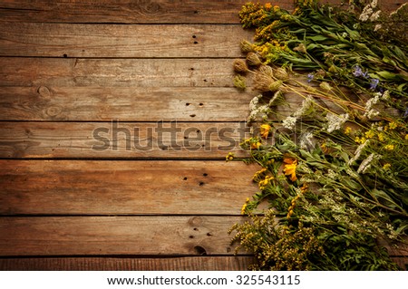 Late summer natural meadow flowers and plants on vintage wooden background from above. Layout with free text space. Nature elements - rustic style.