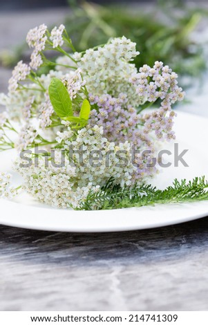 A detail of yarrow herb on a vintage wooden table
