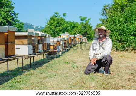 Beekeeper on apiary. Beekeeper pulling frame from the hive
