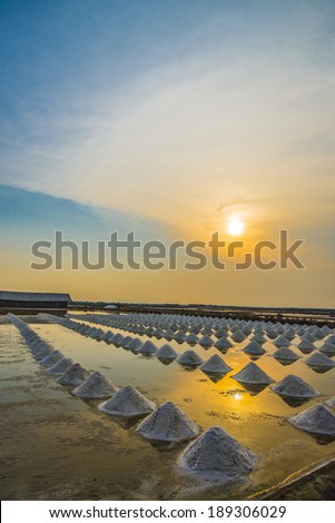 Salt pile in Salt pan with sunset scene