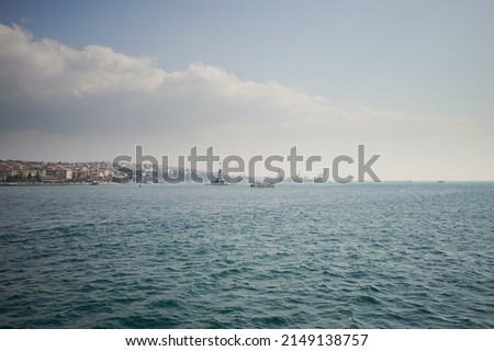 Island with tower on Istanbul city turkey. Boat tour in Bosphorus  Zdjęcia stock © 